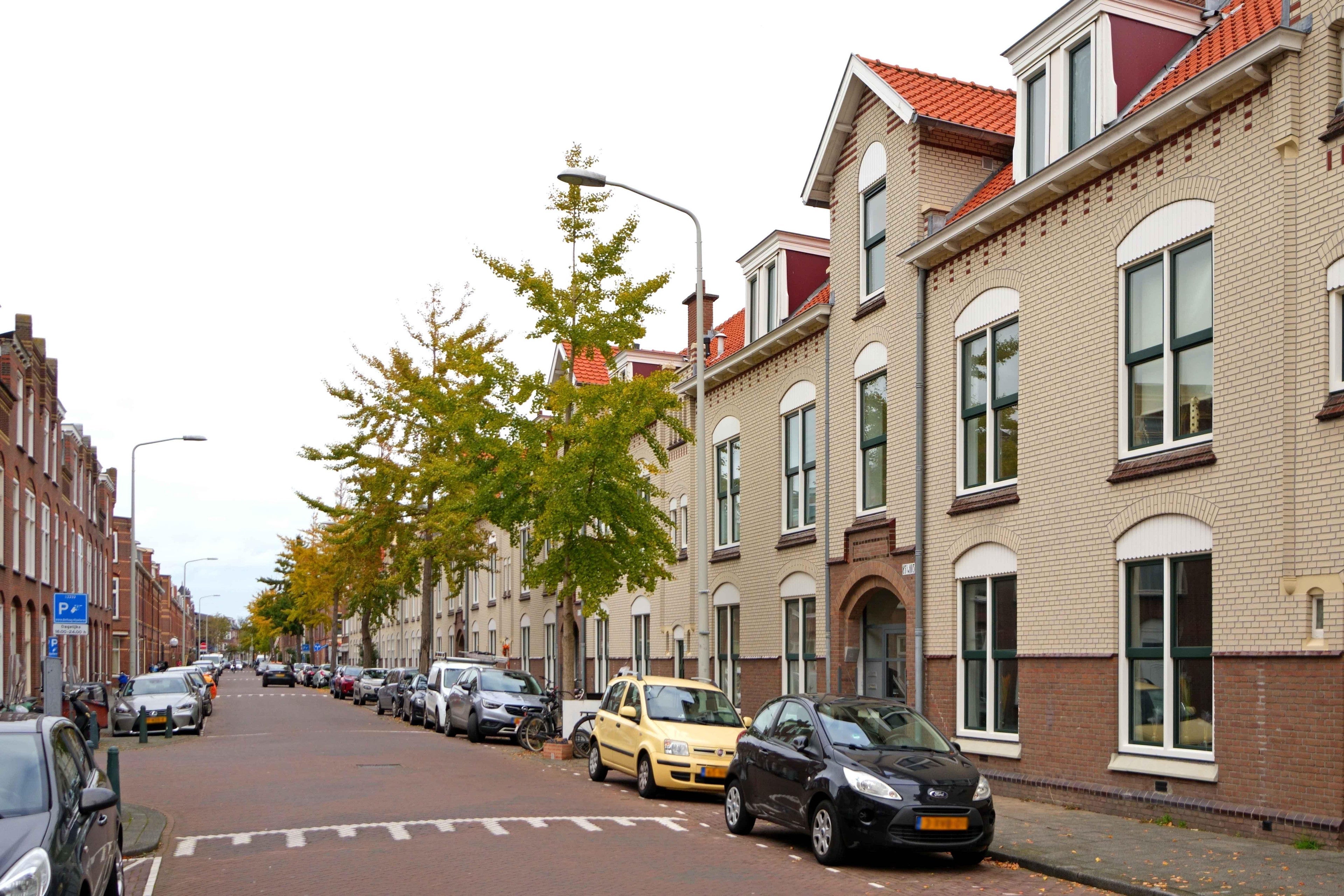 Fahrenheitstraat