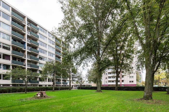 Te huur: Appartement Ierlandstraat in Haarlem