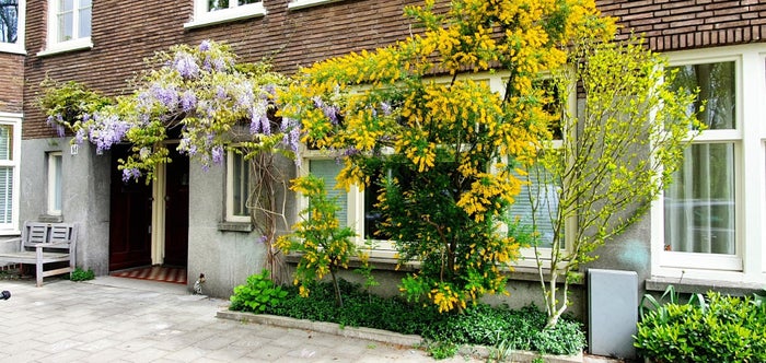 Te huur: Appartement Orteliuskade in Amsterdam