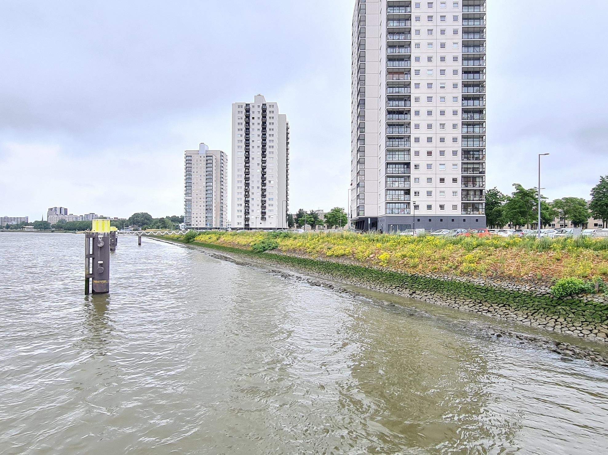 Appartement Buitenbassinweg 446 in Rotterdam