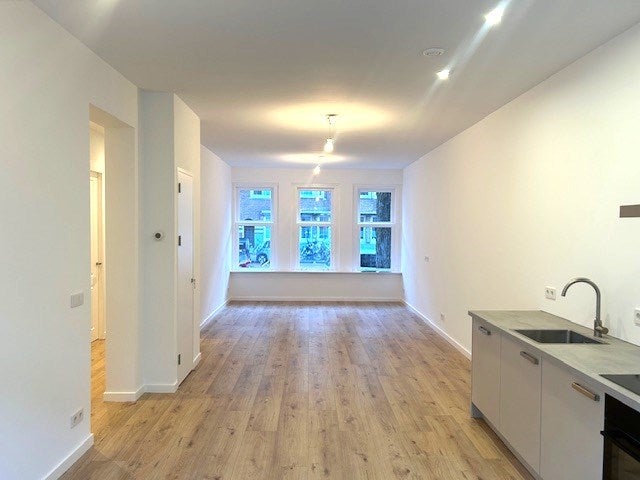 Flat Haarlemmermeerstraat