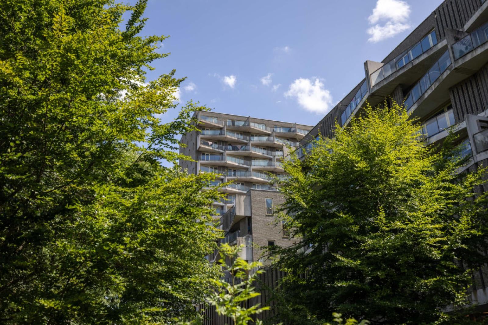 Flat Kruitberghof 71