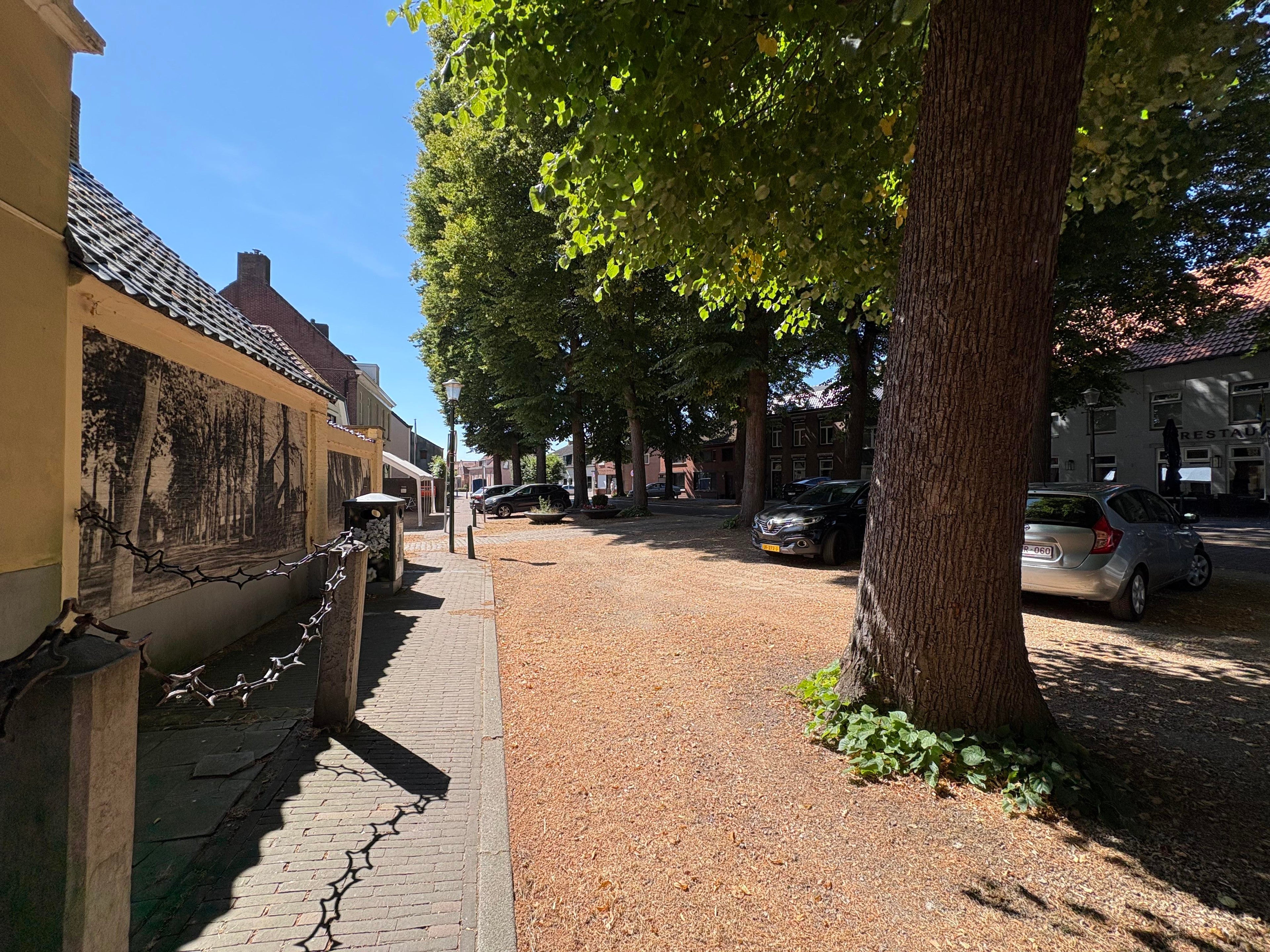 Woning te huur: Dorpsplein, Zuiddorpe