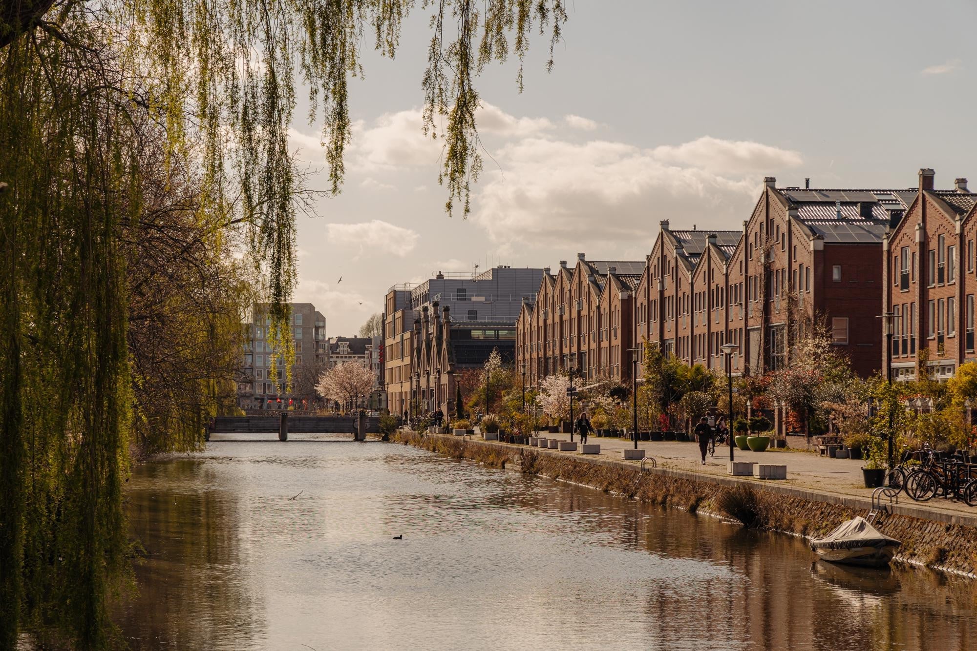 Te huur Appartement Hogeweg 132 3 in Amsterdam