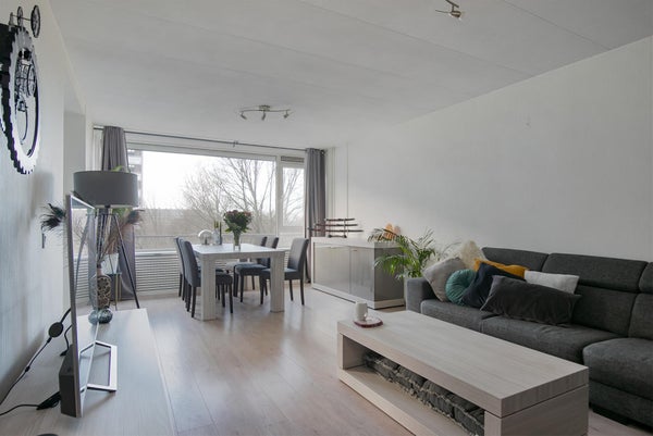 viermerenstraat 7 rotterdam papilom pe vagin