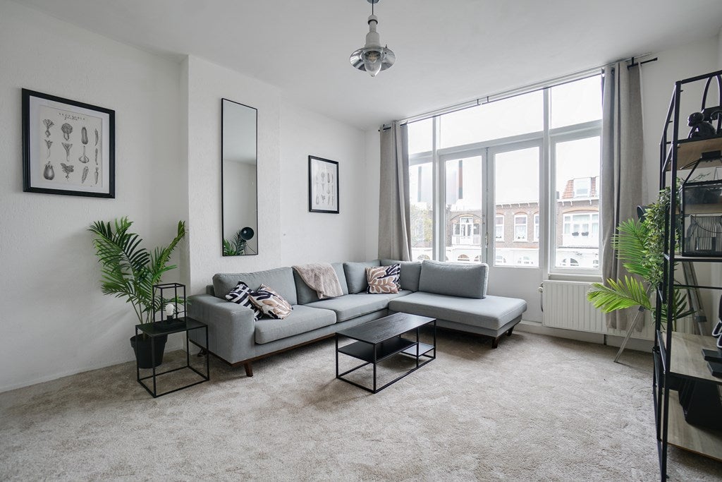 Flat Anton de Haenstraat