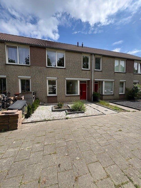 Ruigewerve in Bergen Op Zoom