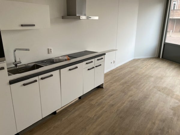 free-sector-houses for rent on Frans Halslaan