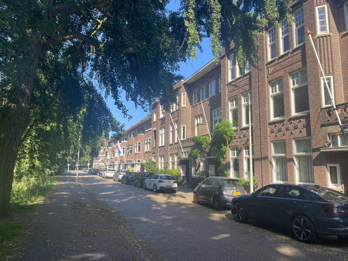 't Hoenstraat 9