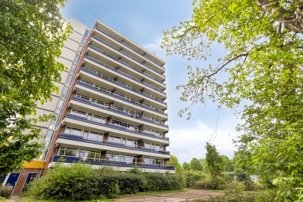 Appartement Scheerling 131 in Kampen