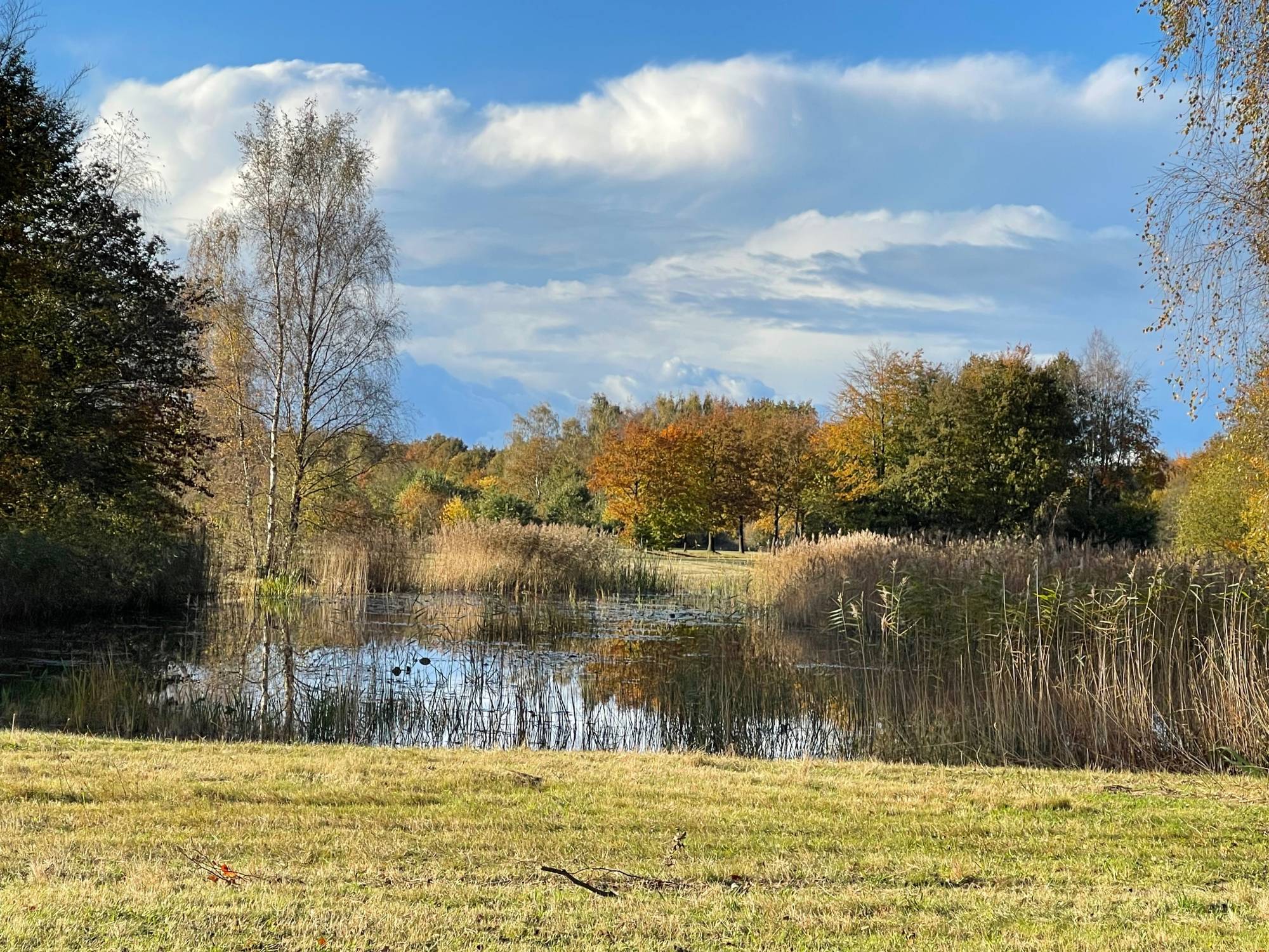 Huis Giek in Huizen