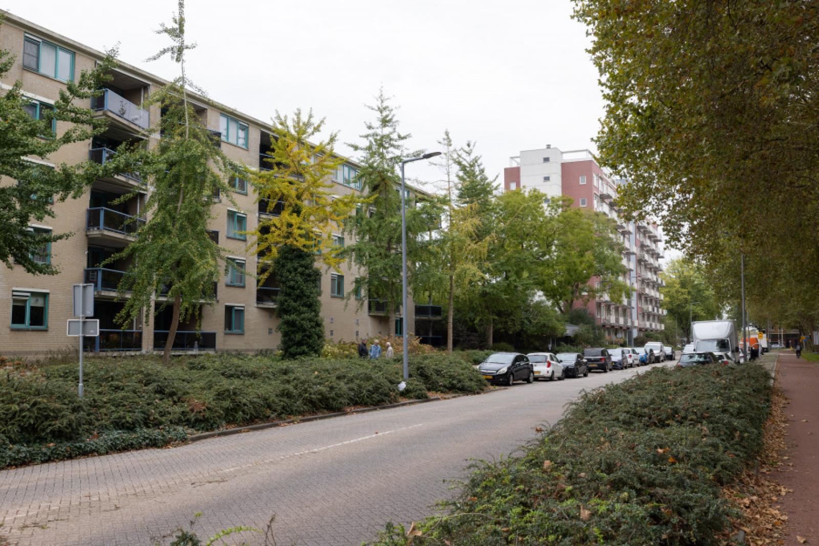 Remmet van Milplaats 12