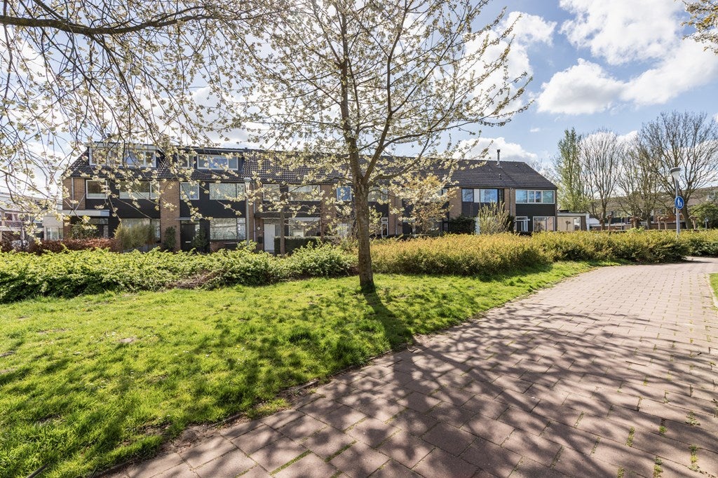 Huis Noppenstraat 60 in Zwaanshoek