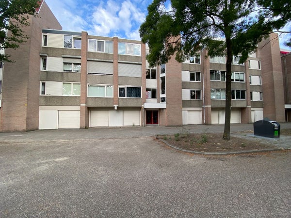 Paladijnstraat