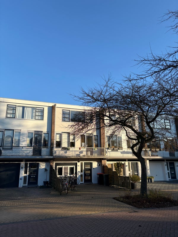 Room Noord in Zwolle
