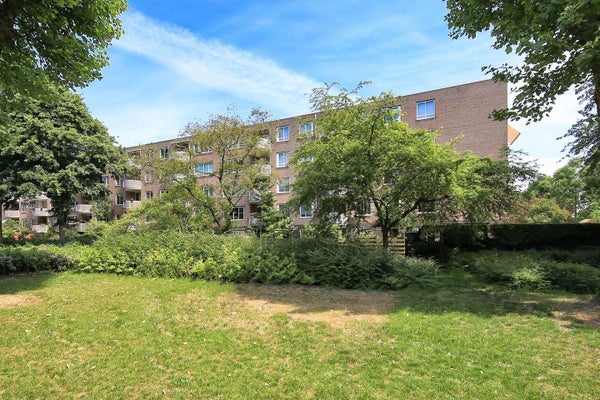 Kanteel à Amsterdam