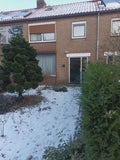 Zwanensingel