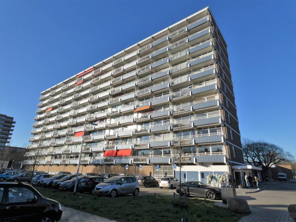 Margijnenenk