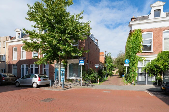 Newtonstraat 221