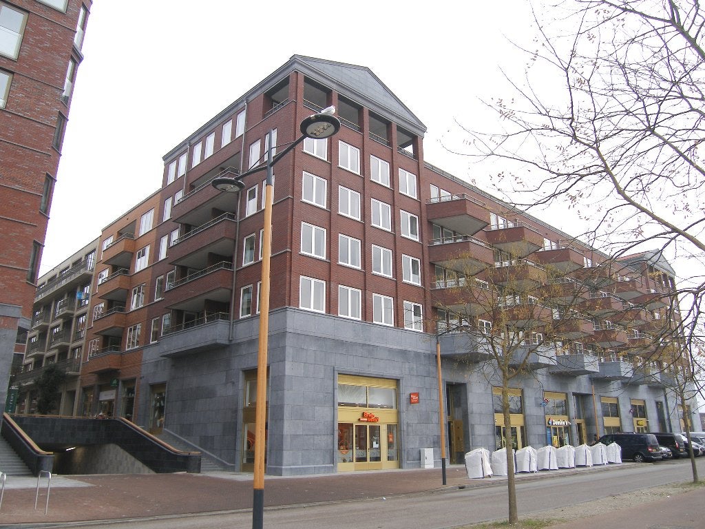 Grauwaartsingel