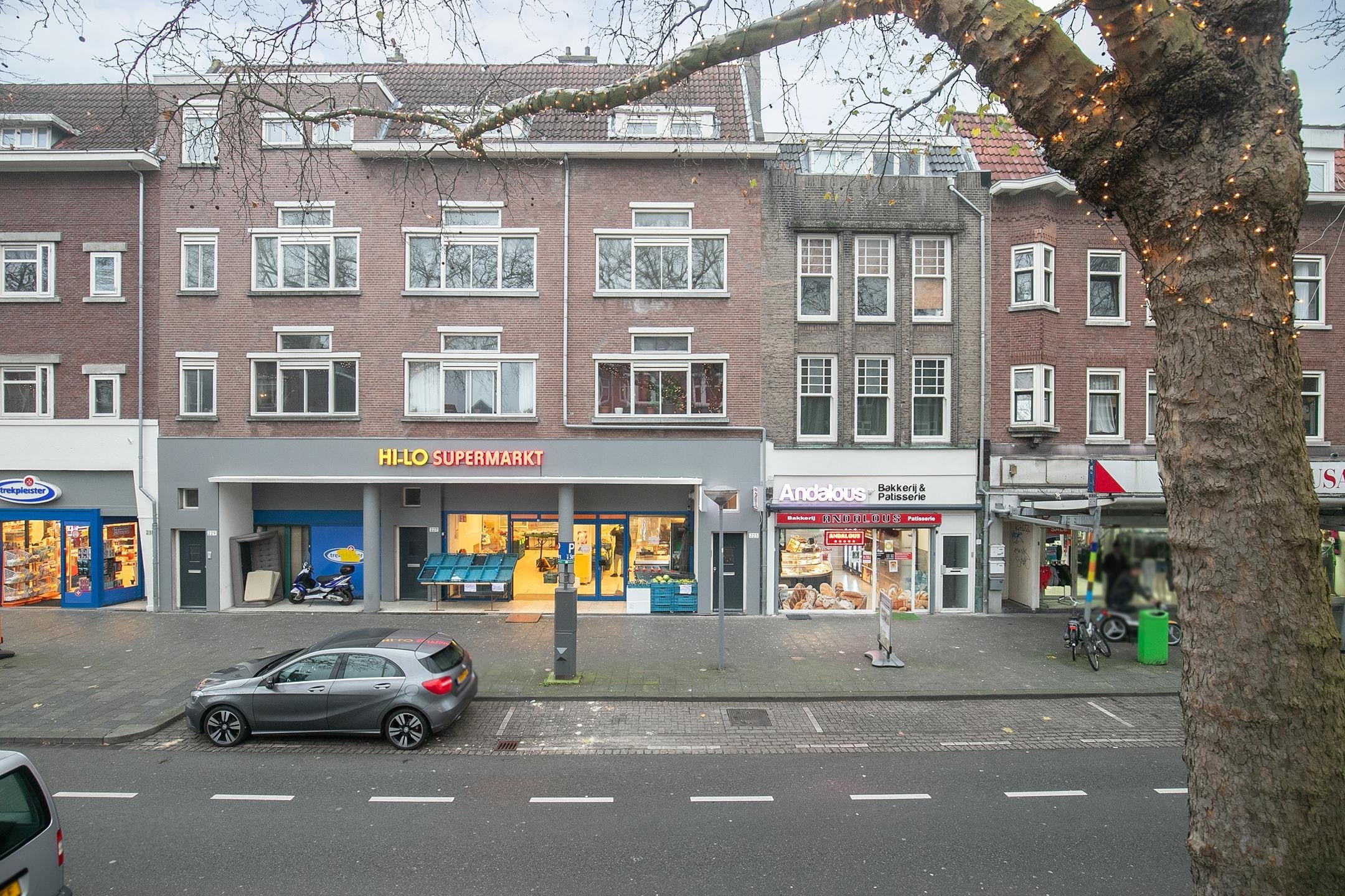 Flat Groene Hilledijk