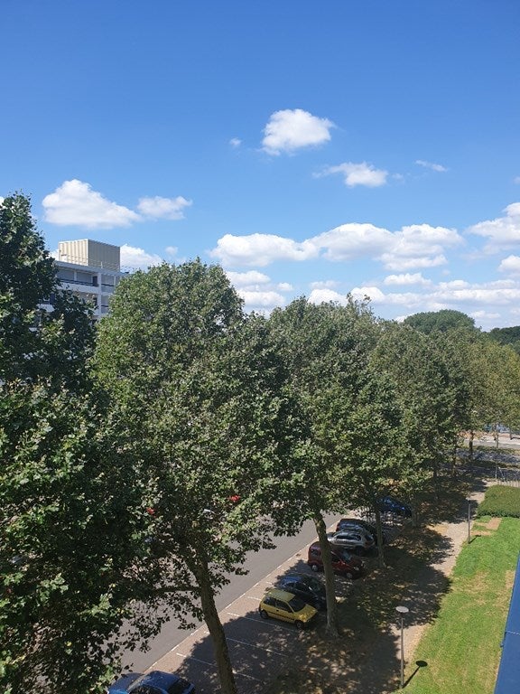 Te huur: Kamer Hisveltplein in Arnhem