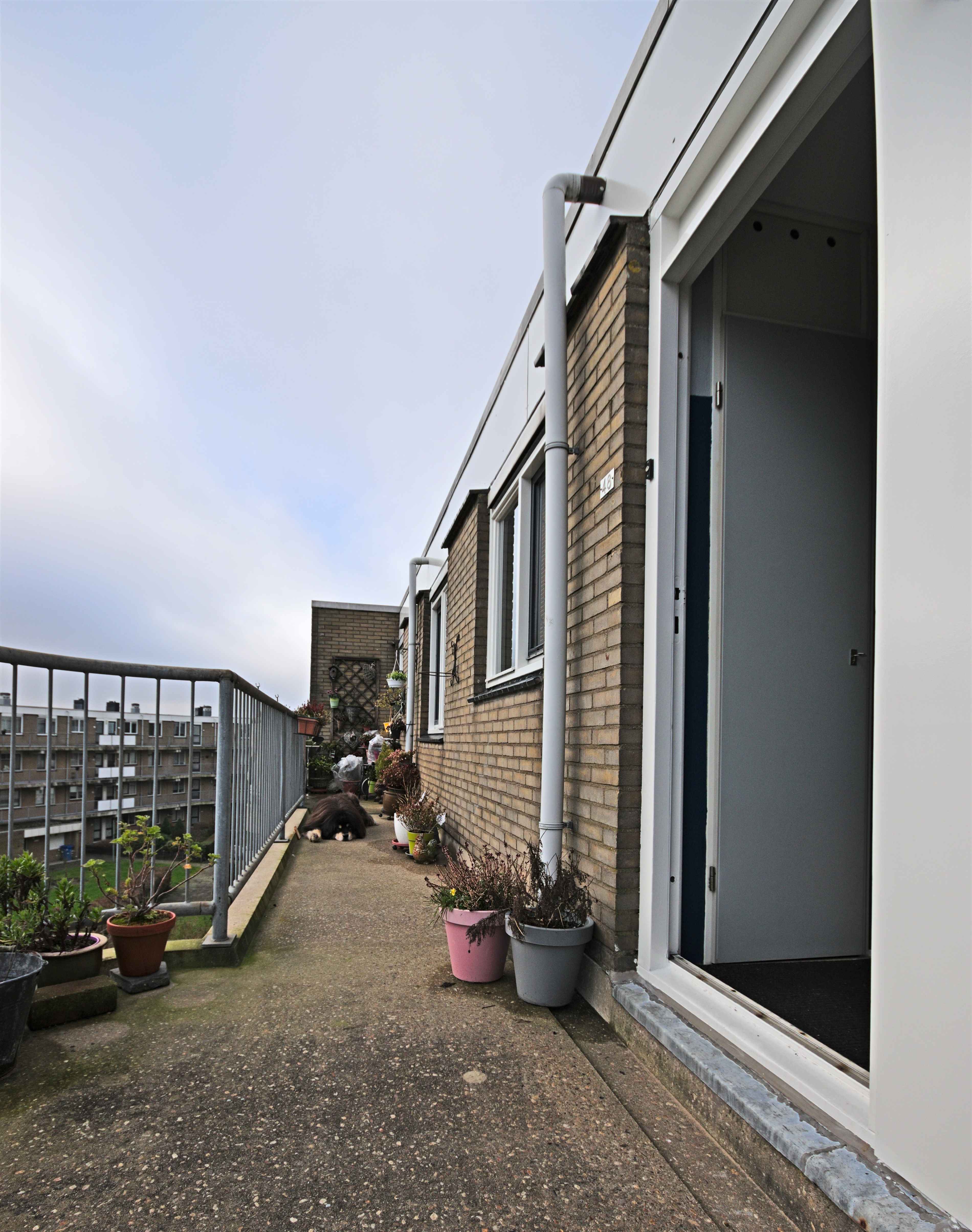 Appartement te huur: Zuiddiepje 48, Rotterdam