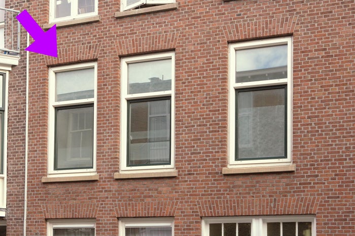 Nicolaas Tulpstraat 53