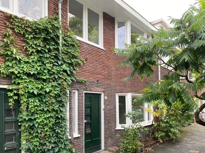 Te huur: Huis Willem de Zwijgerstraat in Eindhoven