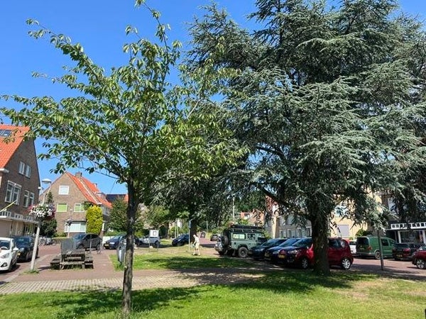 Appartement Beethovenlaan in Arnhem