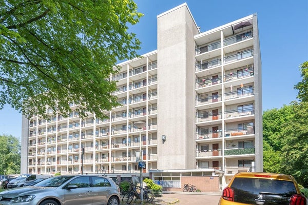 Flat Amerbos in Amsterdam
