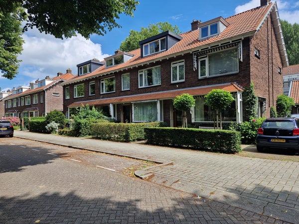 Lindesingel