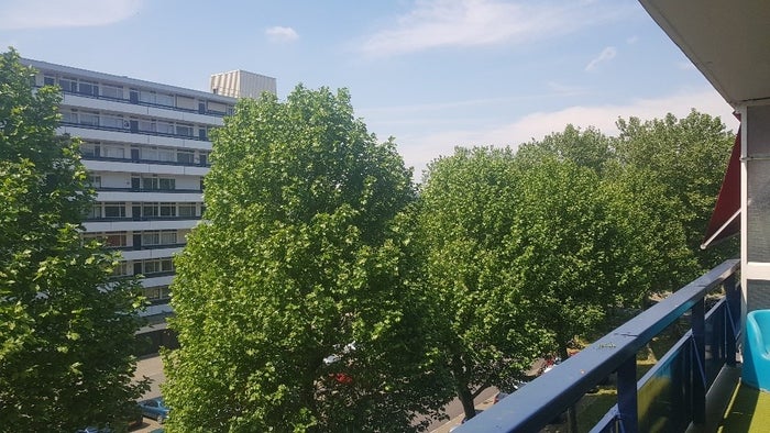 Te huur: Kamer Gildemeestersplein in Arnhem