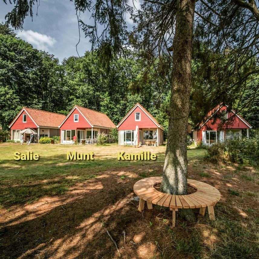 Huis Beekbergerweg in Loenen