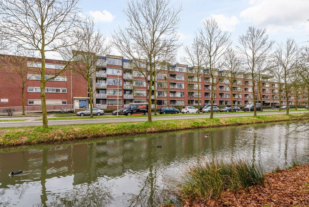 Pyramideboomgaard
