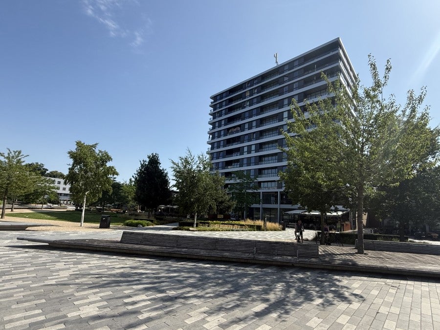 A rental house advertisment