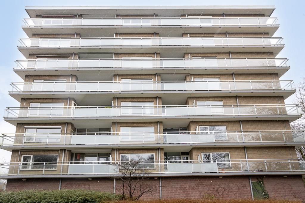 Flat Marne