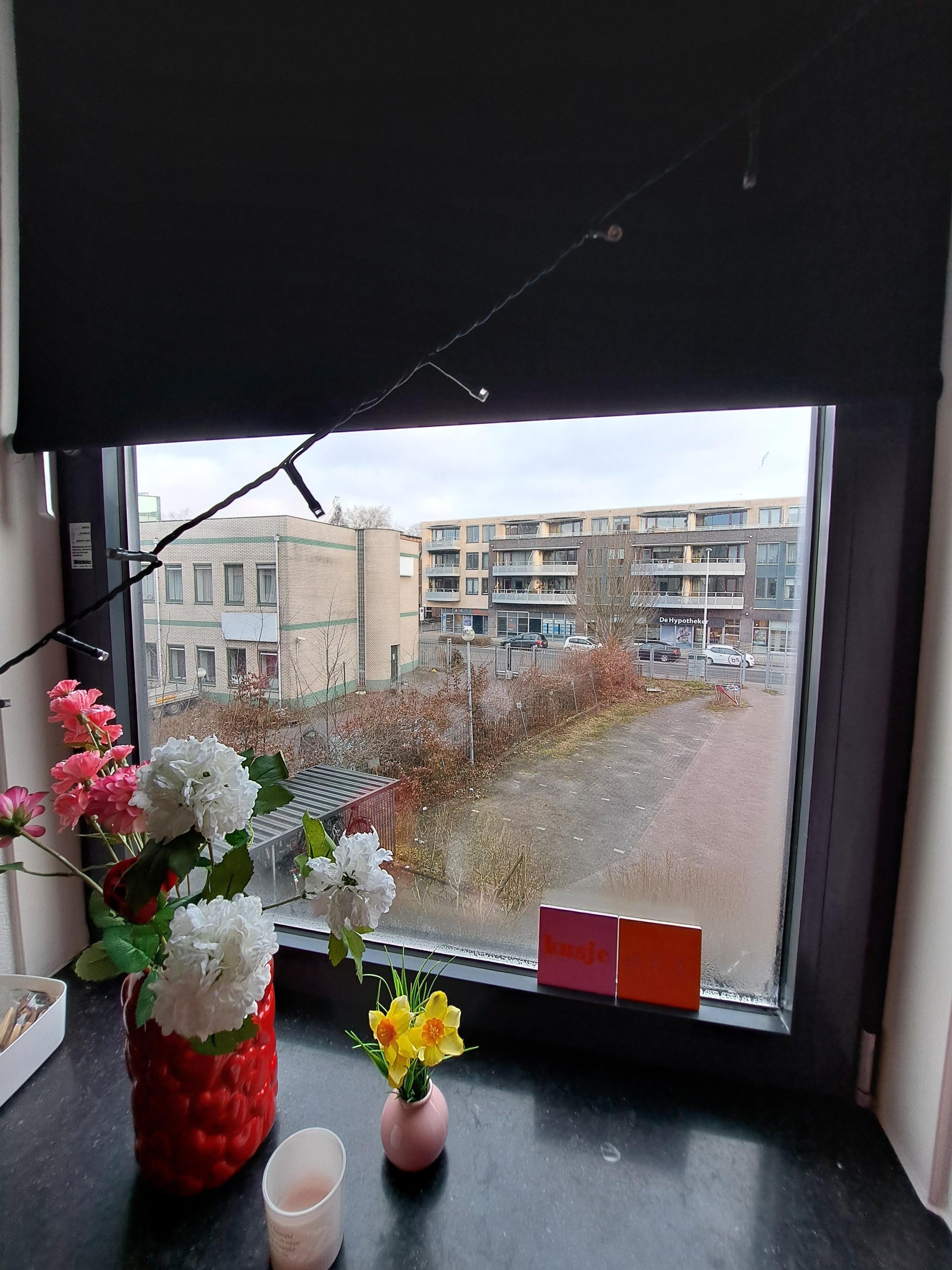 Achter de Hoven
