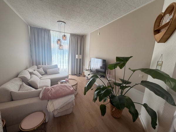 Flat Cruisboomstraat in Geulle