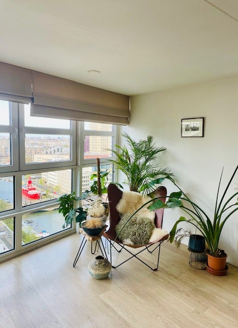Te huur Appartement Wijnbrugstraat 203 in Rotterdam