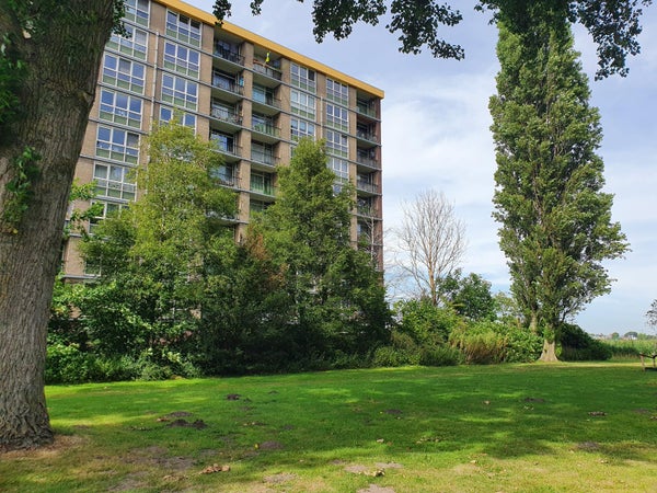 Appartement Lisdoddelaan