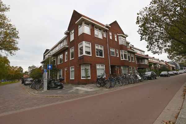 Hoendiep 53 2