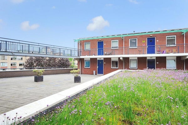 Appartement Fluitekruid in Den Hoorn