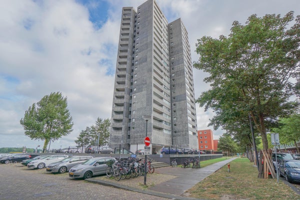 KNSM-laan