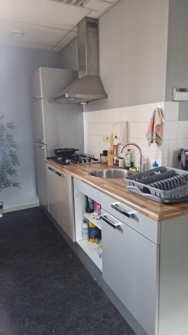 Flat Zwanenburgerdijk in Zwanenburg