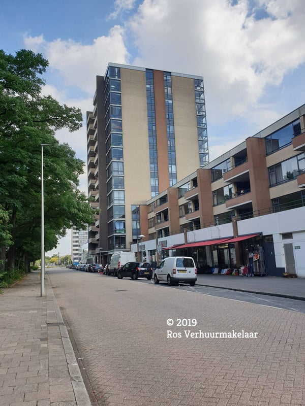 Flat Bernadottelaan in Utrecht