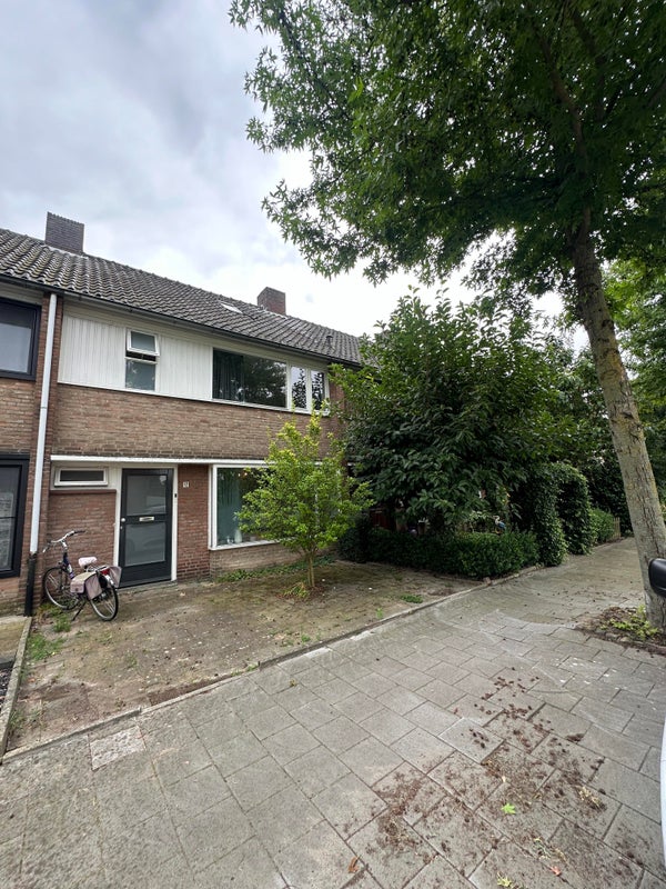 van Norenburchstraat