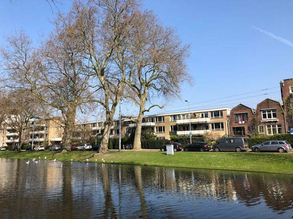 Appartement Noordsingel in Rotterdam