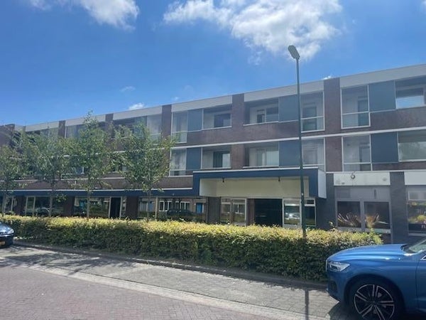 Oortlaan