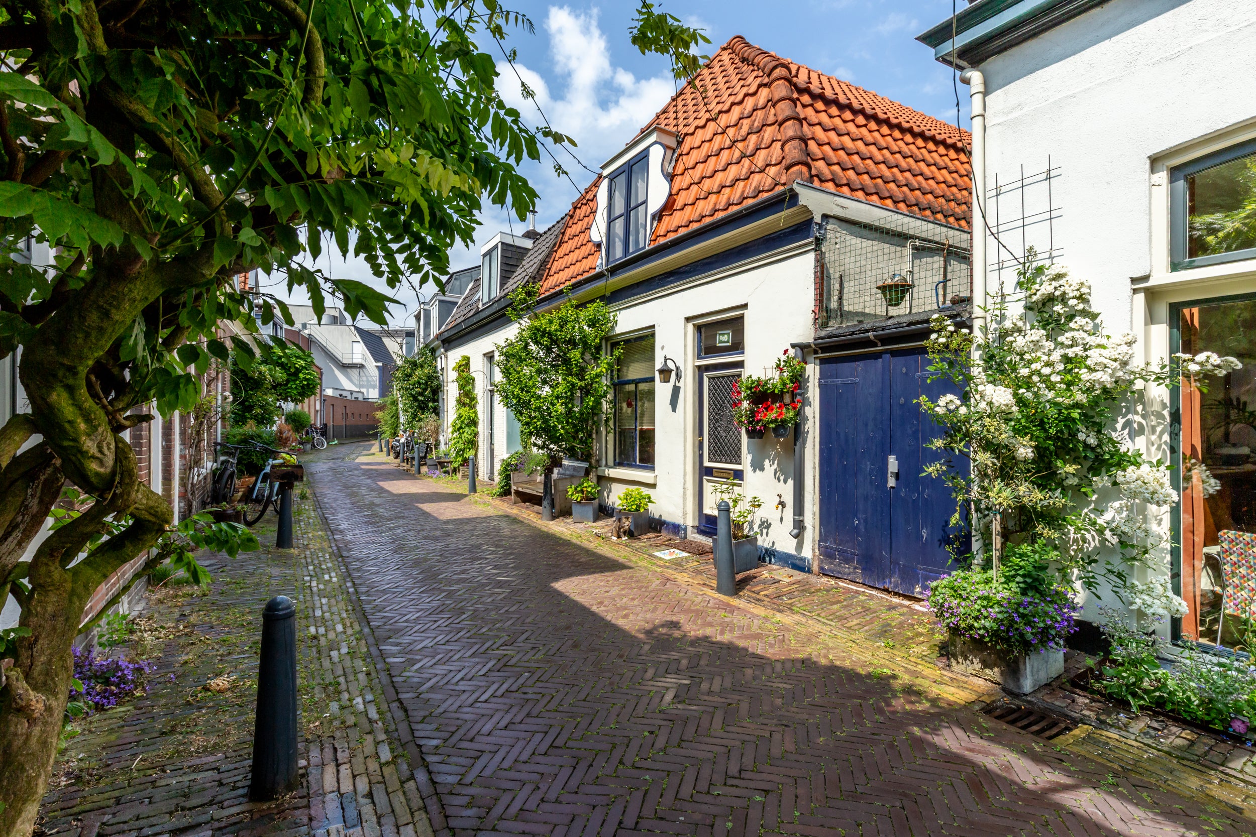 Bloemertstraat